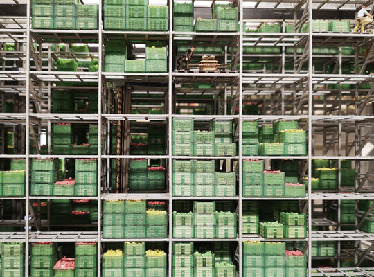 Hochregallager für Äpfel Hochregallager für Äpfel