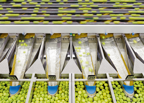 The new sorting system classifies up to 65 apples per second on the basis of a 3D model, which is assessed out of 60 pictures for each single apple.